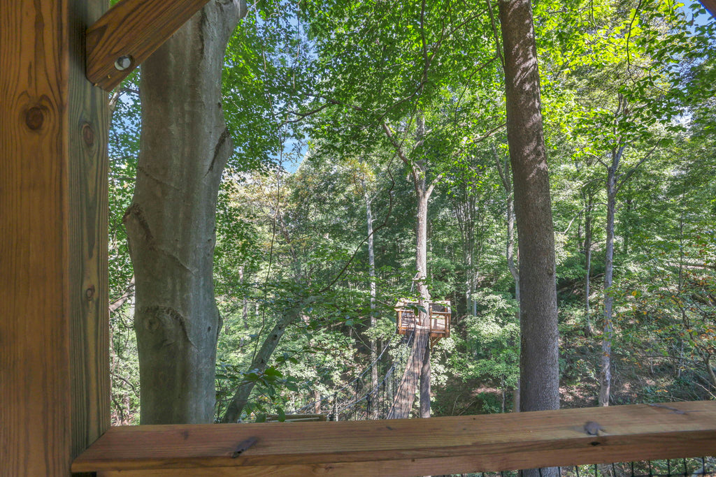 THE COUNTRY CLUB TREEHOUSE