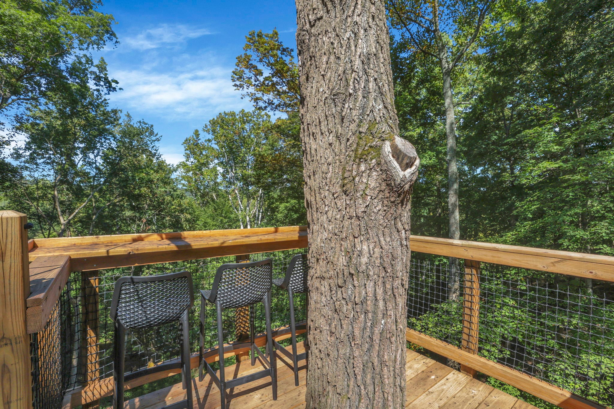 THE COUNTRY CLUB TREEHOUSE