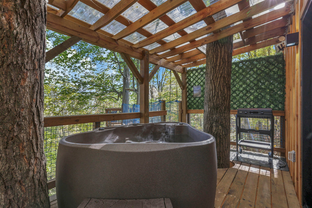 THE ASPEN TREEHOUSE