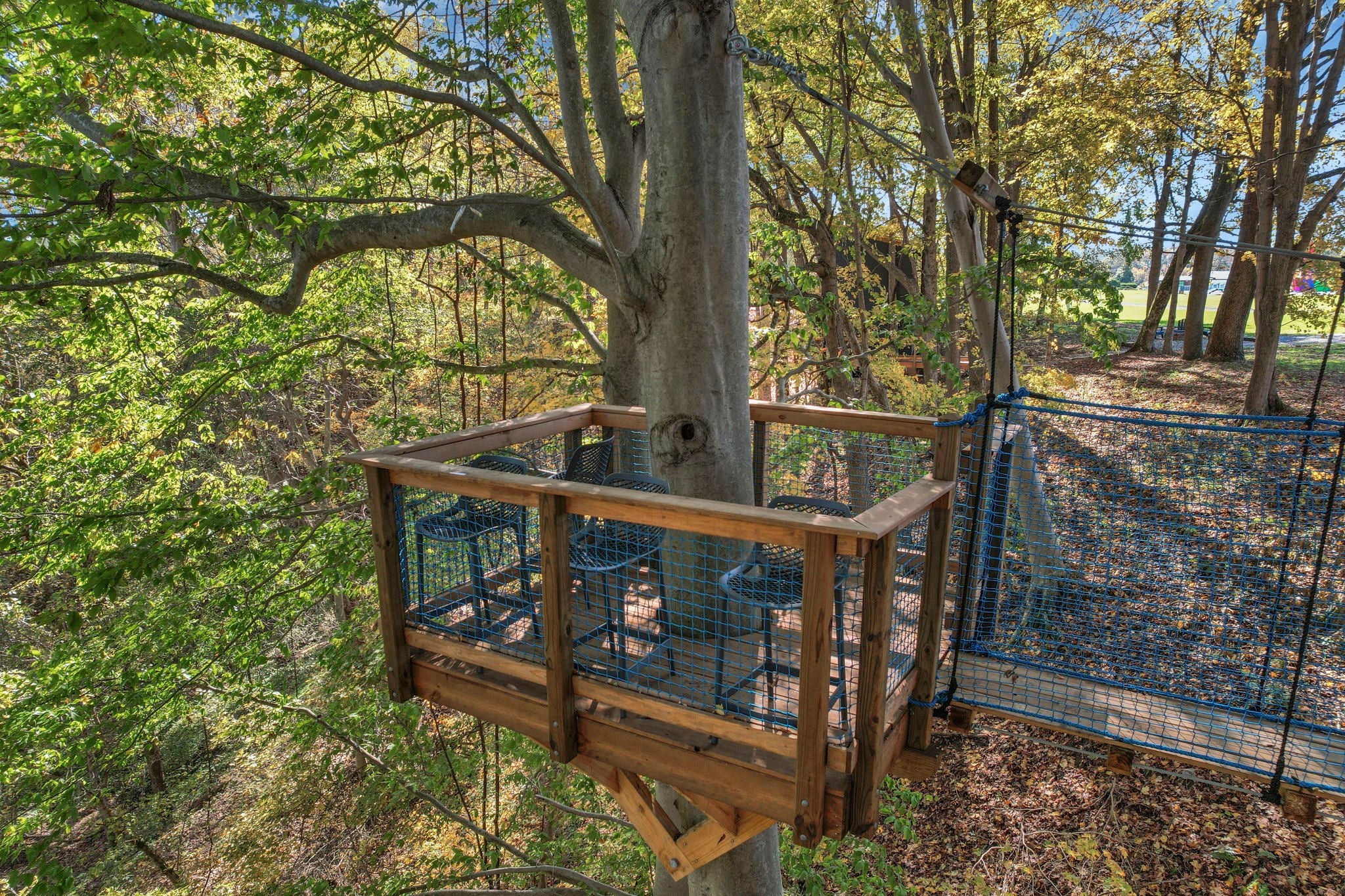 THE ASPEN TREEHOUSE