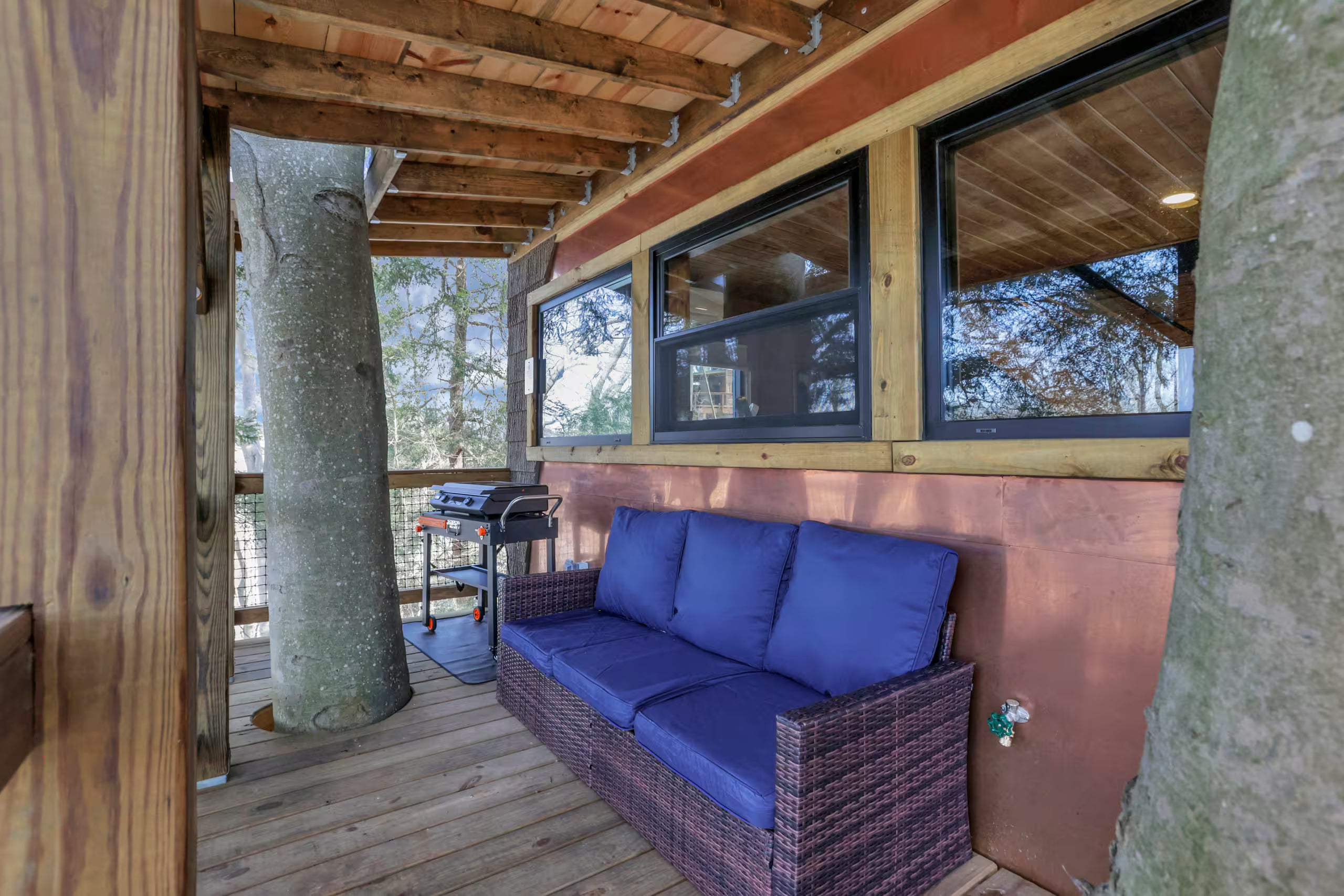 TIME MACHINE TREEHOUSE