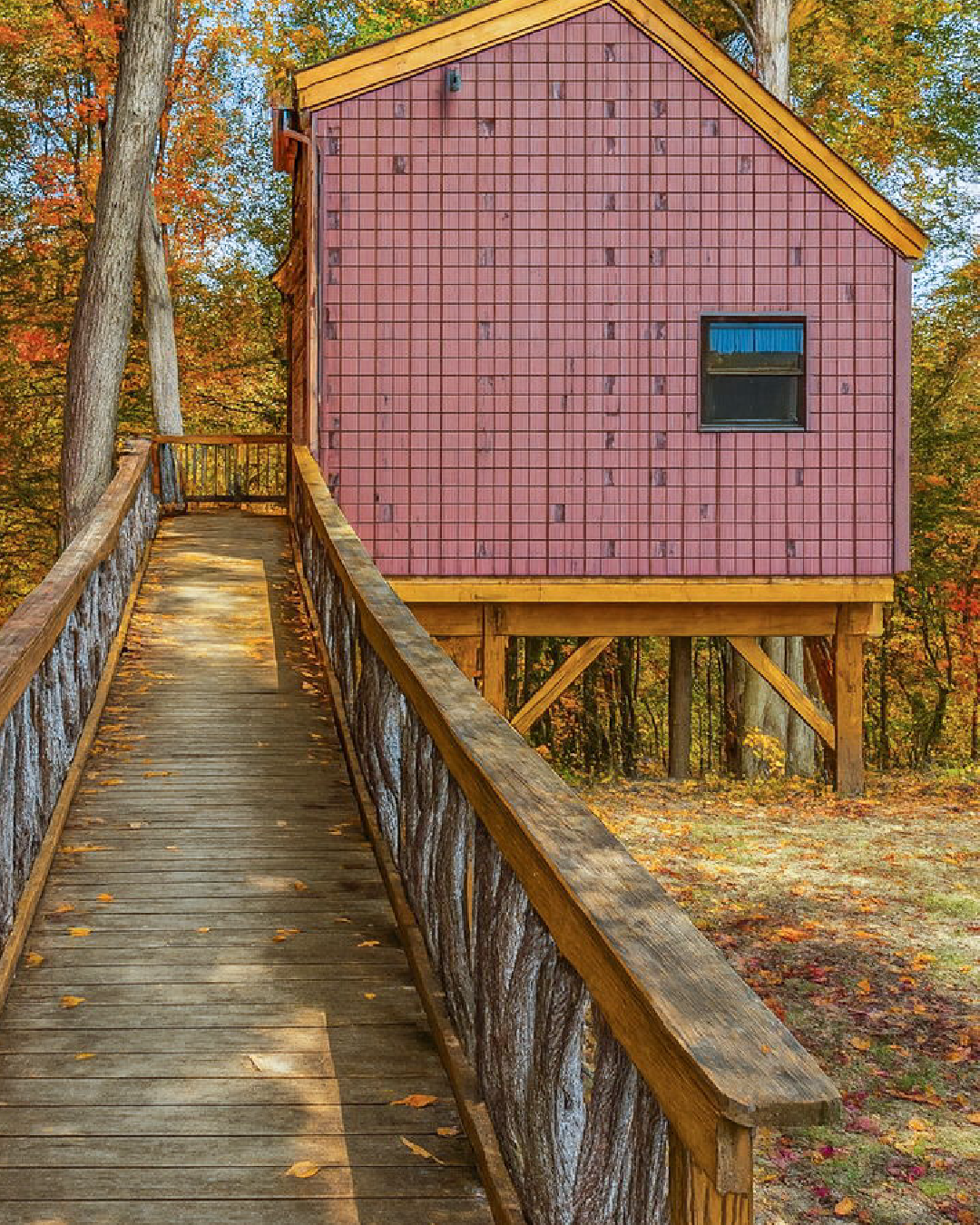 HARRY POTTER BURROW TREEHOUSE