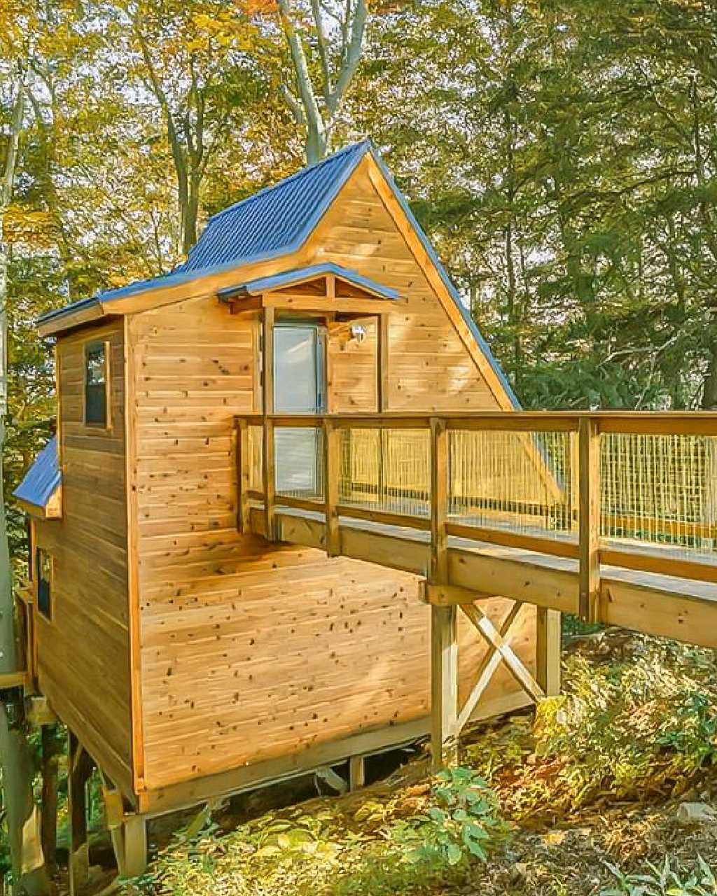 POKEMON TREEHOUSE