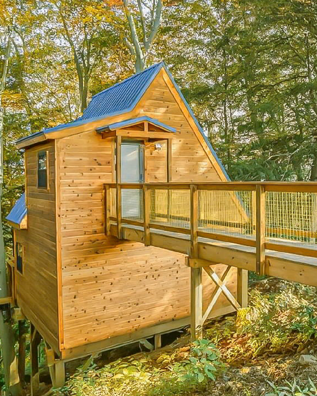 POKEMON TREEHOUSE
