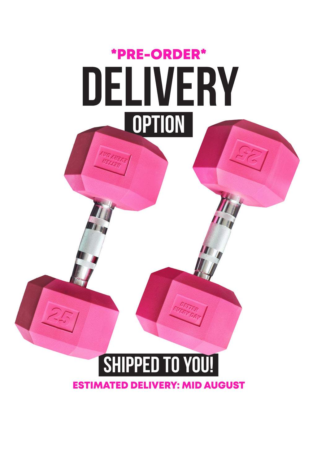 25LB DUMBBELL SET *PRE-ORDER* (delivery)