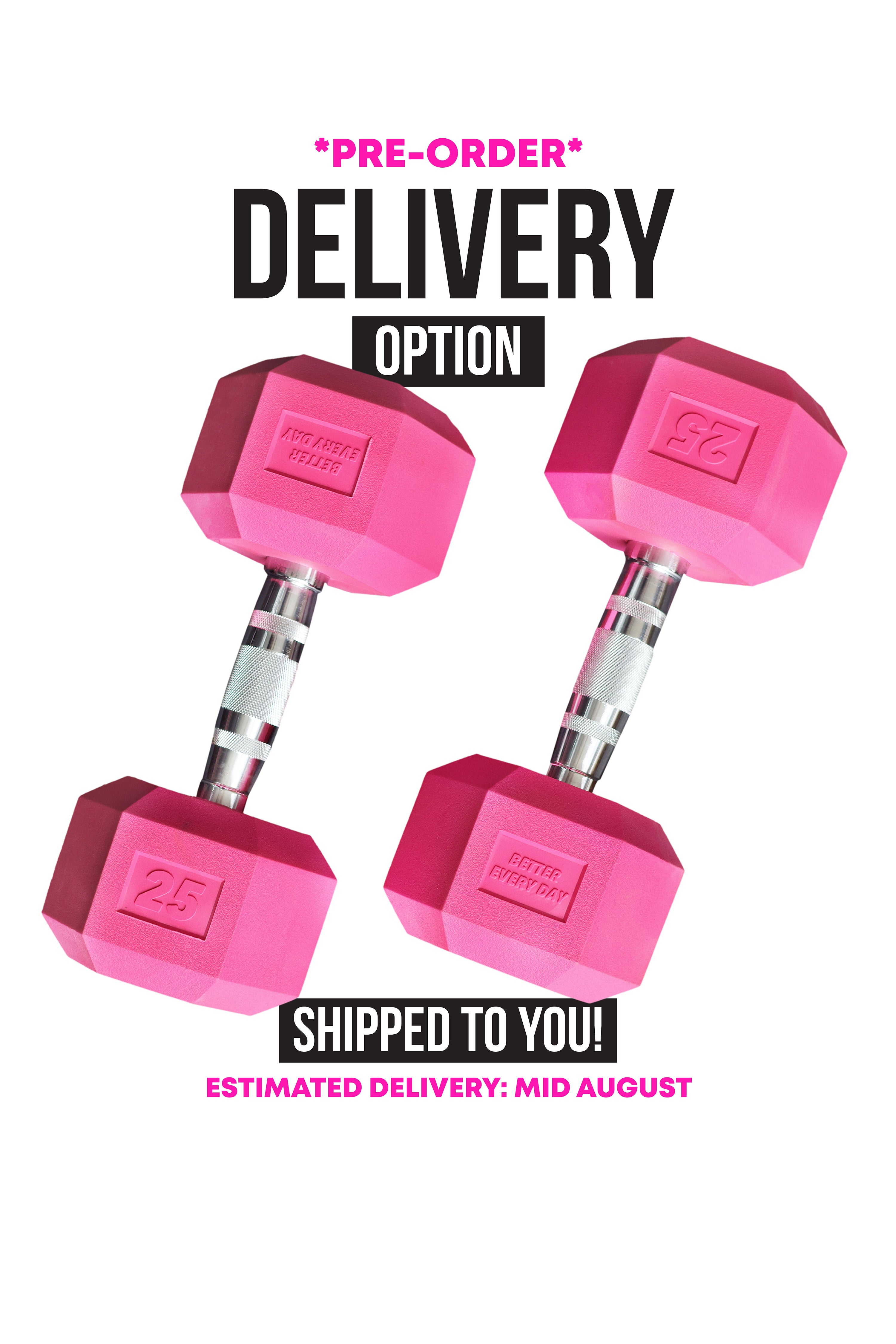 25LB DUMBBELL SET *PRE-ORDER* (delivery)
